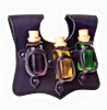 Potion Bags