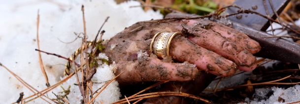 Baltischer-Wikinger-Fingerring