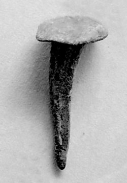 Hand forged iron nail