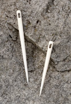 Bone needles in size comparison