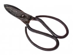 Medival taylor scissors replica