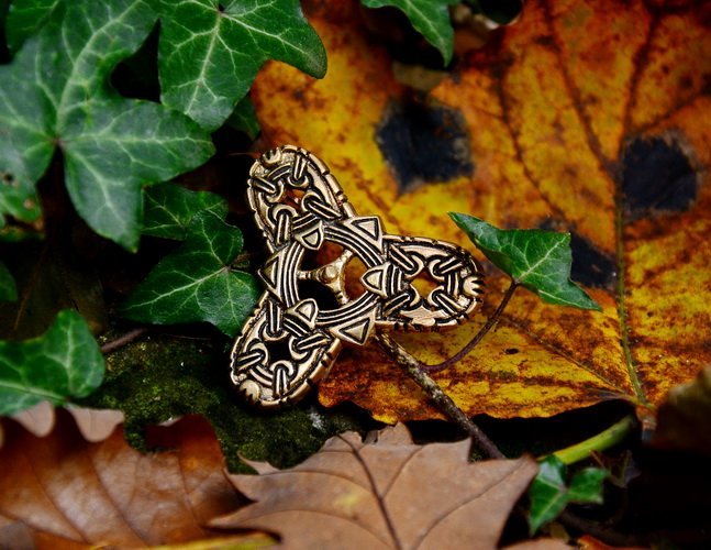 Trefoil brooch in nature