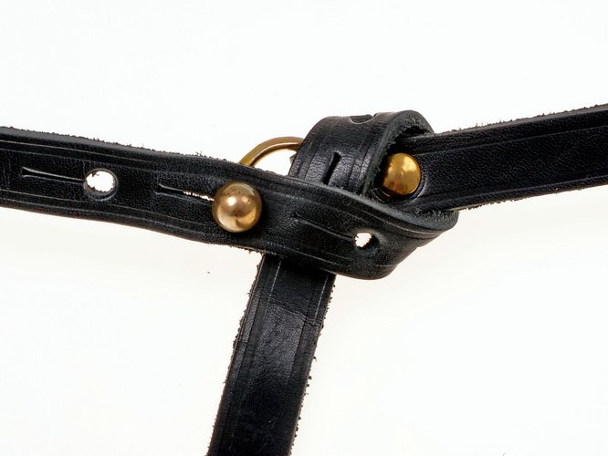Celtic belt hook in use