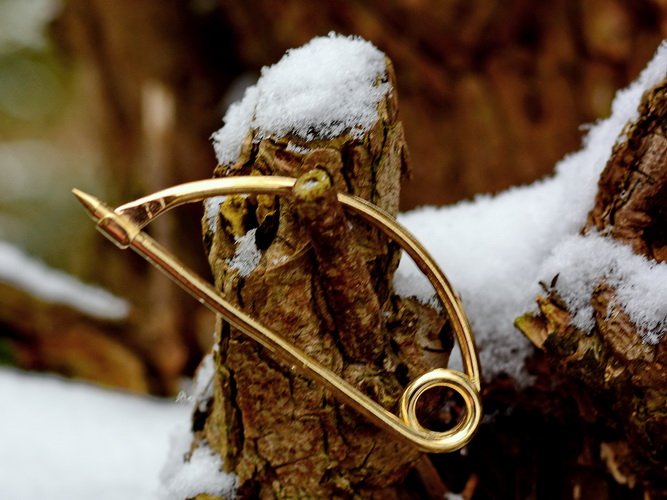 Bogenfibel in der Natur