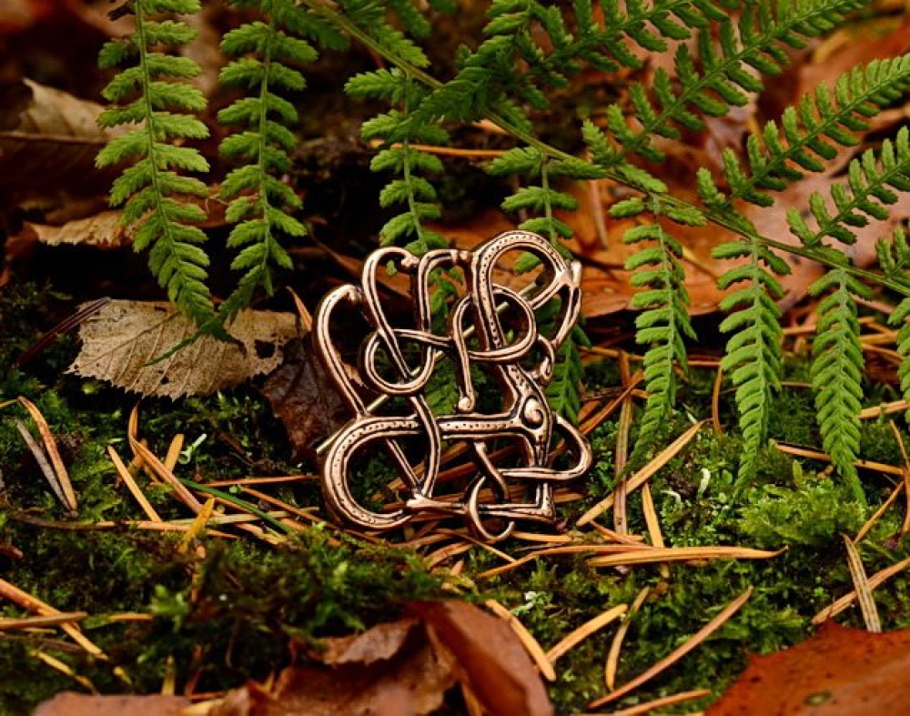 Fibel von Trollaskogur in der Natur